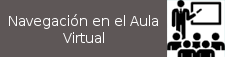 Navegación en el Aula Virtual